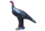 BIGshot Big Shot Walking Turkey Target , 1006771