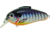 Bill Lewis Echo 1.75 Crankbait, Floating, Blueberry Perch, 3in, 5/8oz, EC255