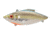 Bill Lewis Rat-L-Trap Hard Bait, Sexy Prism, 1/2 oz, BLF-RT506