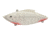 Bill Lewis Rat-L-Trap Hard Bait, white Zombie, 1/2 oz, BLF-RT537