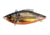 Bill Lewis Rat-L-Trap Hard Bait, Lectric Gold, 1/2 oz, BLF-RTL2