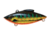 Bill Lewis Tiny-Trap Hard Bait, Black Caterpillar, 1/8 oz, BLF-TT274