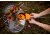 Biolite CampStove Bundle