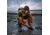 BioLite HeadLamp, Ocean Teal, HPB1003