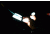 BioLite SiteLight Mini with USB Adapter, White, SLB1001