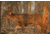 Birchwood Casey Eze-Scorer Whitetail Deer Target Folded 23x35 Inch 2 Per Package, BC-37481