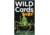 Birdcage Wild Cards Bugs 231