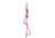 Black Diamond Alpine Aiders - 5 Step