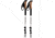 Black Diamond Alpine Carbon Cork Trekking Poles