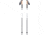 Black Diamond Alpine FLZ Trekking Poles-110 cm-White/Black