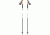 Black Diamond Alpine FLZ Trekking Poles with Tip Protector, 110 cm, BD11220300001101