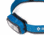 Black Diamond Cosmo 300 Headlamp, Azul, BD6206604004ALL1