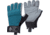 Black Diamond Crag Half-Finger Gloves - Womens, Raging Sea, Large, BD8018683028LG-1