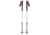 Black Diamond Expedition 2 Ski Poles, 145, BD11158900001451