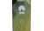 Black Diamond Helio Carbon 88 Skis, 179 cm, BD11513900001791