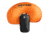Black Diamond Jetforce Tour Avalanche Airbag Pack, M/L, 26L, Black, BD6813240002ML1