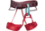 Black Diamond Momentum Harness, Wild Rose, BD6511036012ALL1