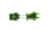 Black Diamond Neve Pro Crampons, Envy Green, One Size, BD4000743011ALL1
