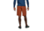Black Diamond Sierra Shorts - Mens, Burnt Sienna, Large, AP7511016044LRG1