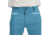 Black Diamond Valley Shorts - Mens, Creek Blue, 30, AP75015540640301