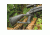 BlackHawk Axiom TH Thumbhole Rifle Stock
