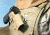 Blackhawk STRIKE Platform with Serpa Holster, Beretta - Left Hand, Coyote Tan 40CL01CT-L