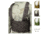 BlackHawk S.T.R.I.K.E. Split Front Chest Rig, Black, Coyote Tan, MultiCam, Olive Drab, Ranger Green, Urban Gray