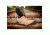 BlackHawk Tanto Light Hiker