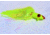 Blue Water Candy 3oz. Spire Silly Chute, Chartreuse, 61102