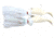 Blue Water Candy Tandem Loaded Parachute Rig