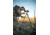 BOG Great Divide Tripod Head, Black/Red, 1117185