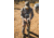 BOG Hunting Bino Bivy Bags, 1159187