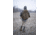 BOG Hunting Day Pack, Lightweight, 1159182