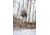 BOG Hunting Day Pack, Lightweight, 1159182