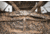 BOG Sitting Hub Blind 600D-Realtree, Camo, 1134434