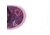 Bogs Elliott Ii Night Sky, Purple Multi, Medium, 2, 72466I-540-M- 2