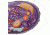 Bogs Rain Forest Boot,Grape Multi,Size 2 71739-544-2