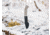 Boker Boker Plus Mini Tracker 2.0 - 02BO113