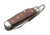 Boker Camp Classic Gold Folding Blade Knife, 2.6in, 4034, Silver, Uncoated, Brown, 114051