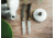 Boker Solingen Rangebuster Folding Knife, 3.03in, N690, Micarta Green Handle, 111914
