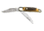 Boker USA Folding Hunter Stag Folding Knife w/ Leather Sheath 112020HH