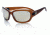Bolle Dirty 8 Tease Sunglasses - Chocolate/Shadow Brown 10476