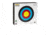 BOLT Crossbows 16 x 18 in Archery Target, Multicolor BT309