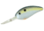 Bomber Fat Free Shad Jr. Crankbait, 2-1/2in, 5/8oz, Foxy Shad, BD6FFS