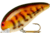 Bomber Model 7A Crankbait, 2 5/8in, 1/2oz, Tiger Perch, B07ATGP