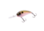 Bomber scharlso 453098