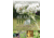 Books Healing Herbs By Dede Cummings and Alyssa Holmes, 978-1-5107-1610-0