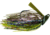 Booyah Bankroll Jig, 1/2 oz, Wild Card, BYBRJ1262