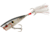 Booyah Boss Pop Topwater Popper, 3in, 3/8 oz, Moonphase Shad, BYBP322