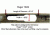 Boyds Hardwood Gunstocks SS Evolution Ruger 10/22 Any Barrel Channel, Forest Camo, 3Z268231E110